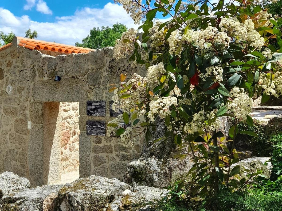 Fragas Do Lobo - Casa Da Azenha Villa Castelo Novo ภายนอก รูปภาพ